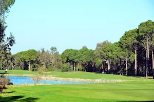 Midlands Golf Club image