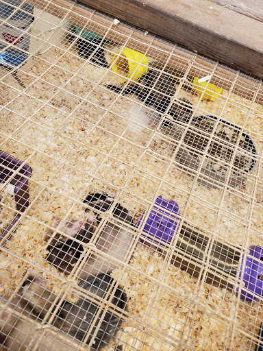 Pet Store «Pet World Warehouse Outlet», reviews and photos, 2984 S 108th St, Milwaukee, WI 53227, USA