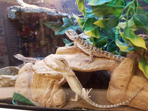 Pet Supply Store «PetSmart», reviews and photos, 2828 Campus Pkwy, Riverside, CA 92507, USA