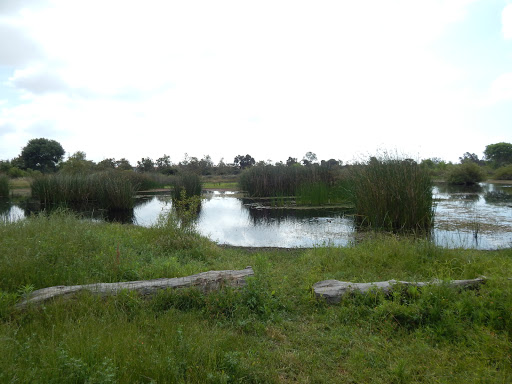 Nature Preserve «Madrona Marsh», reviews and photos, 3201 Plaza del Amo, Torrance, CA 90503, USA