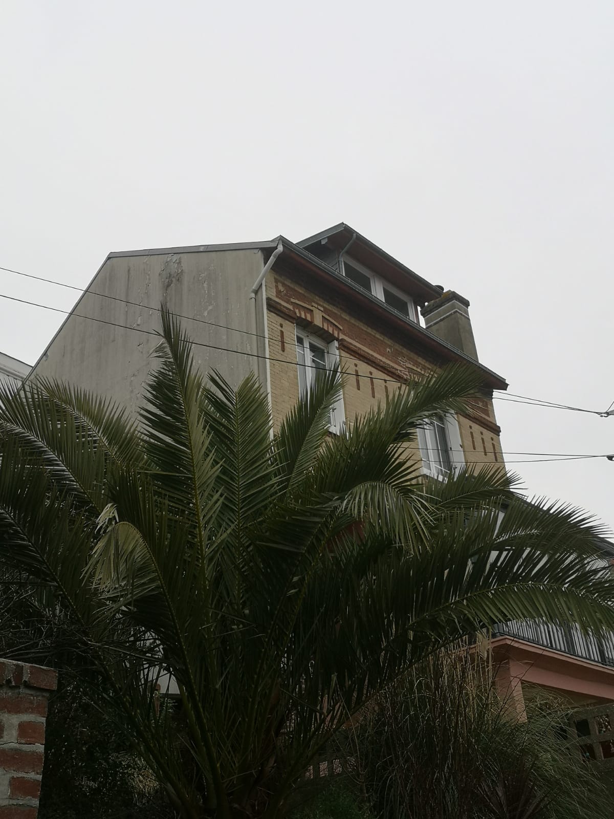 Photo n° 4 de l'avis de Renée.F fait le 05/02/2023 à 14:02