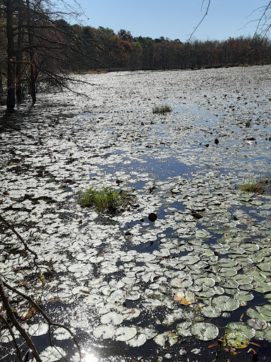 Nature Preserve «Black Run Preserve», reviews and photos, Kettle Run Rd, Evesham Township, NJ 08053, USA