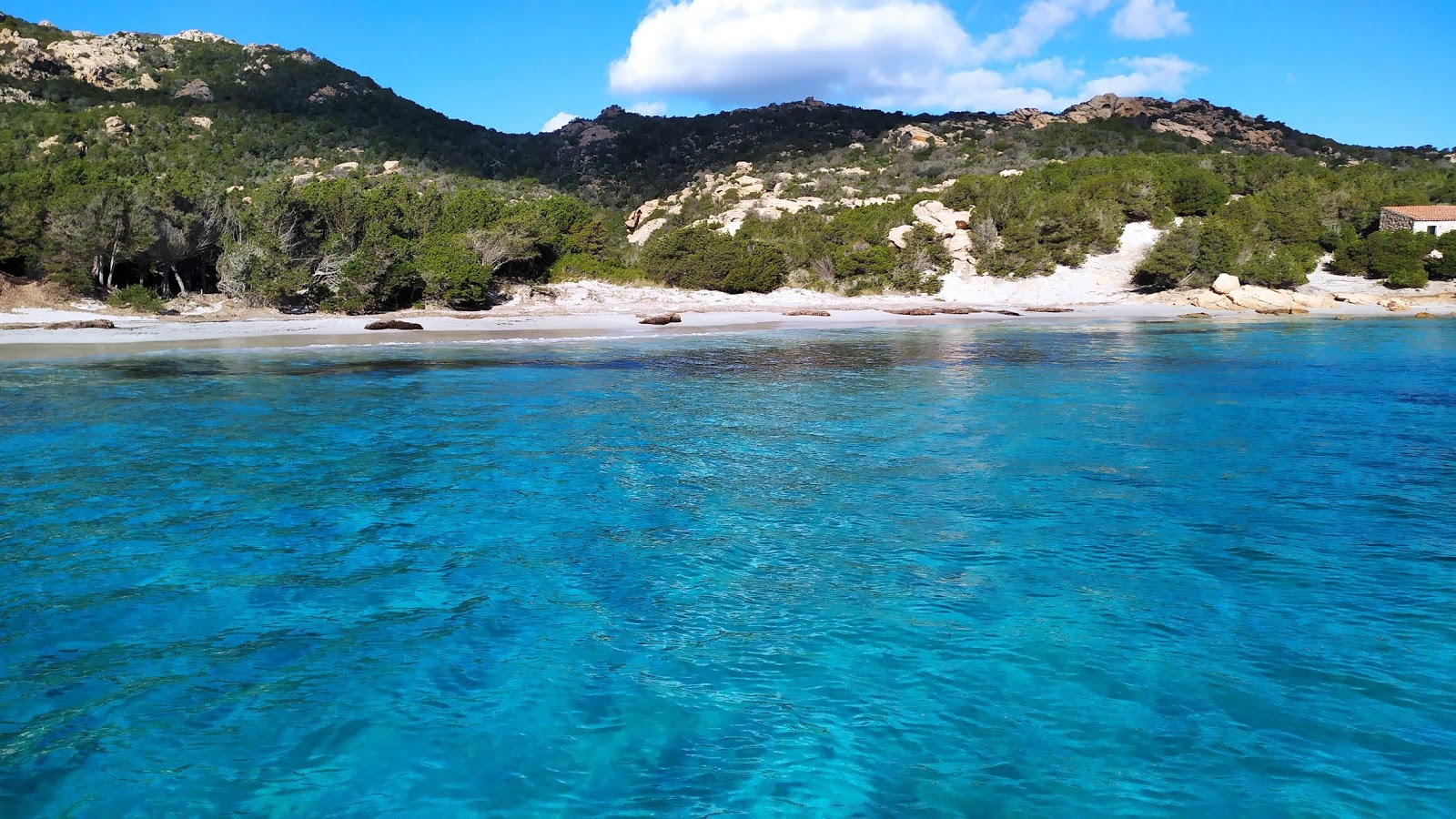 Cala Granara Plajı'in fotoğrafı kısmen temiz temizlik seviyesi ile