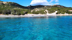 Cala Granara Plajı'in fotoğrafı vahşi alan
