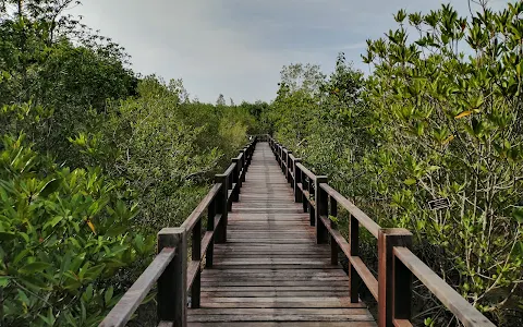 Mangrove Forest Park image