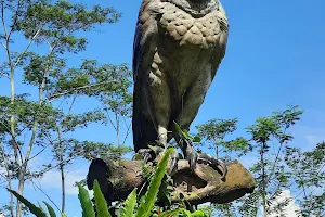 Kawasan Studi Dan Konservasi Burung Hantu (Tyto alba) image