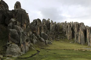 Stone Forest image