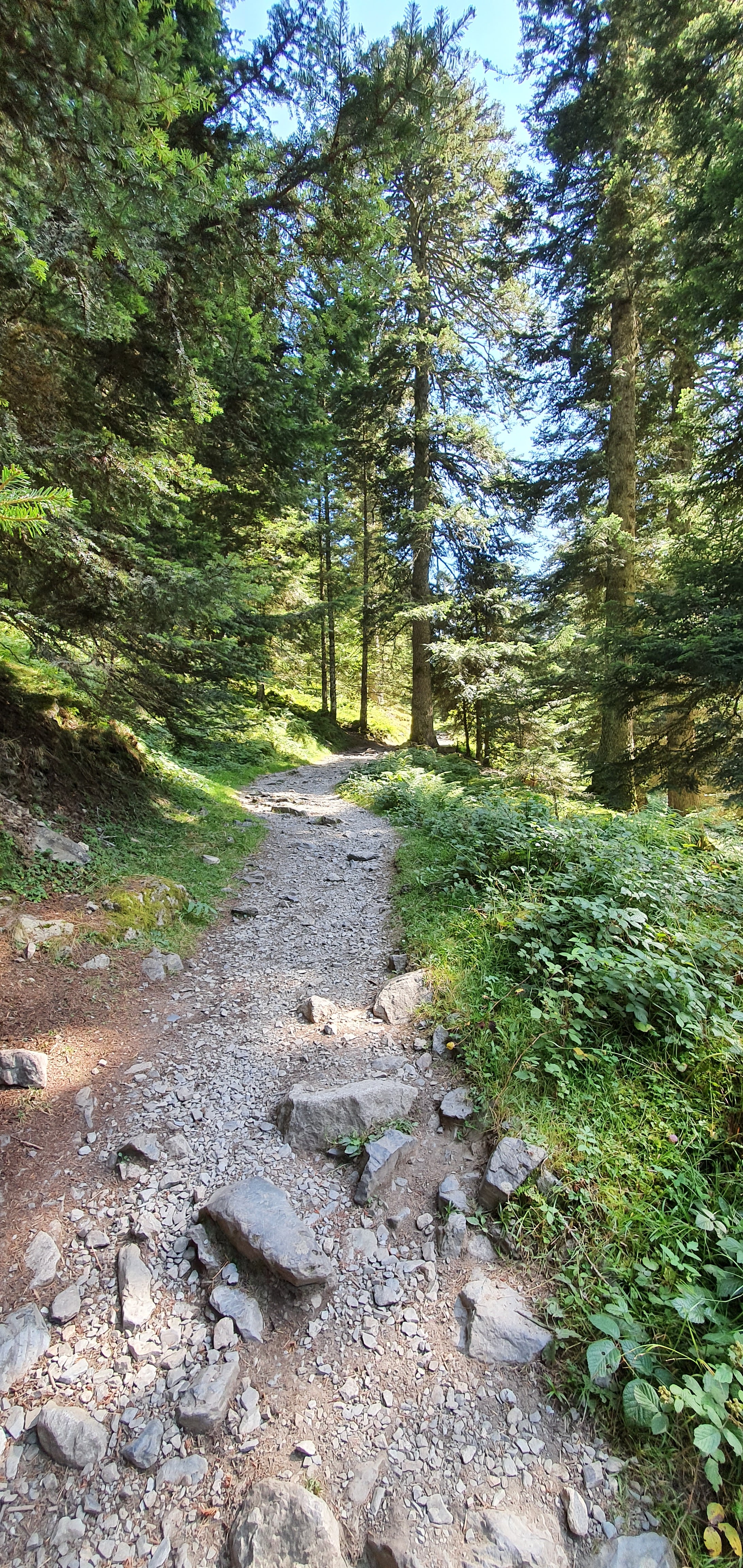 Photo n° 2 de l'avis de Manu. fait le 25/08/2020 à 14:18