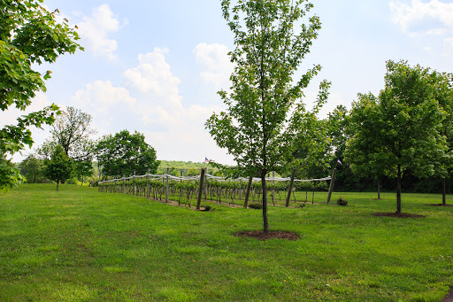 Winery «Unami Ridge Winery», reviews and photos, 2144 Kumry Rd, Quakertown, PA 18951, USA