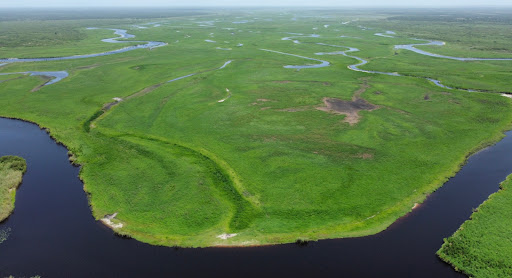Tourist Attraction «Twister Airboat Rides», reviews and photos, 8199 W King St, Cocoa, FL 32926, USA