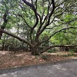 Dare County Arboretum and Teaching Garden