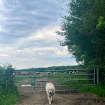 Photo n° 1 de l'avis de Lu.b fait le 12/05/2024 à 16:36 pour Ferme du Creuset à Neuville-lès-Decize
