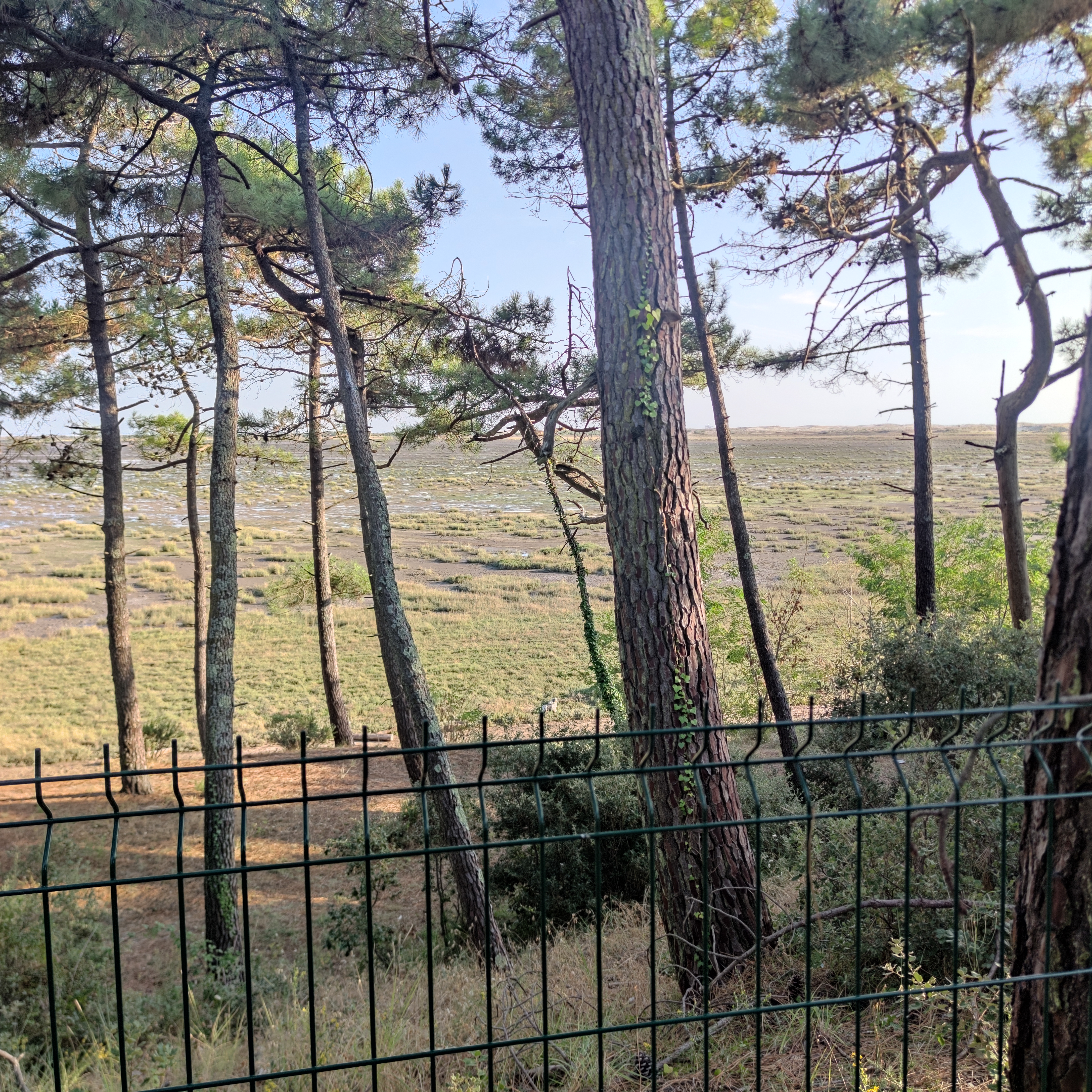Photo n° 1 de l'avis de Alexis.o fait le 14/09/2023 à 19:12