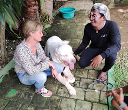 The Dog Hotel Bali photo