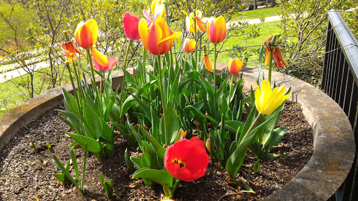 Park «Percy Warner Park», reviews and photos, 7311 Tennessee 100, Nashville, TN 37221, USA