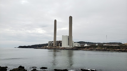 Coleson Cove Generating Station
