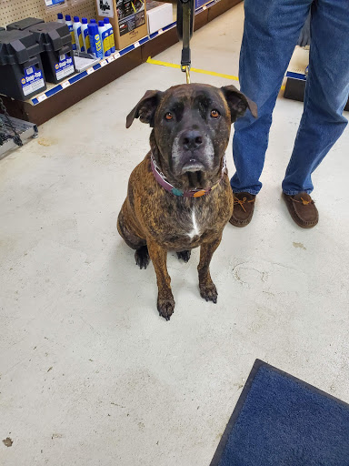 Auto Parts Store «NAPA Auto Parts - County Auto Parts», reviews and photos, 516 Water St, Chardon, OH 44024, USA