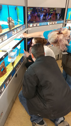 Pet Supply Store «Petco Animal Supplies», reviews and photos, 3320 Stockton Hill Rd, Kingman, AZ 86409, USA