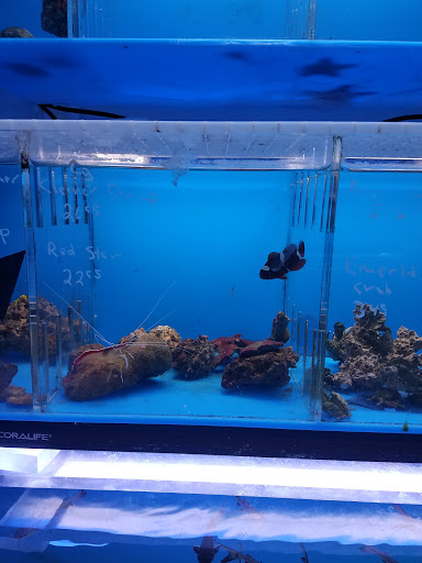 Aquarium «Aquarama Inc», reviews and photos, 2151 NW 27th Ave, Miami, FL 33142, USA