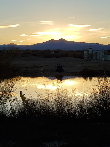 Grocery Store «Safeway», reviews and photos, 1535 Main St, Windsor, CO 80550, USA