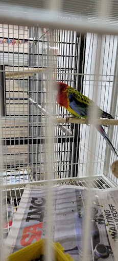 Pet Supply Store «Mini Ranch Feed Store», reviews and photos, 10103 Moursund Blvd, San Antonio, TX 78221, USA