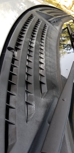 Car Wash «Palms Car Wash», reviews and photos, 13691 Research Blvd, Austin, TX 78750, USA