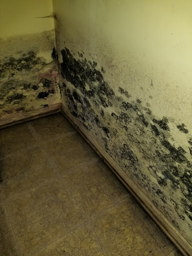 Water Damage Restoration Service «Abbotts Fire and Flood Restoration», reviews and photos