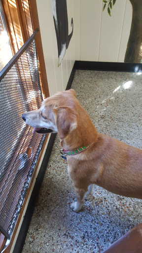 Academy Animal Hospital of Laurinburg image