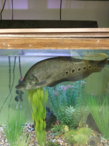 Pet Supply Store «Over Bridge Pet Supplies», reviews and photos, 24 Seneca St, Hornell, NY 14843, USA