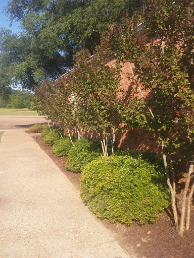 Golf Course «Clear Creek Golf Course», reviews and photos, 1566 Tiffentown Rd, Vicksburg, MS 39183, USA