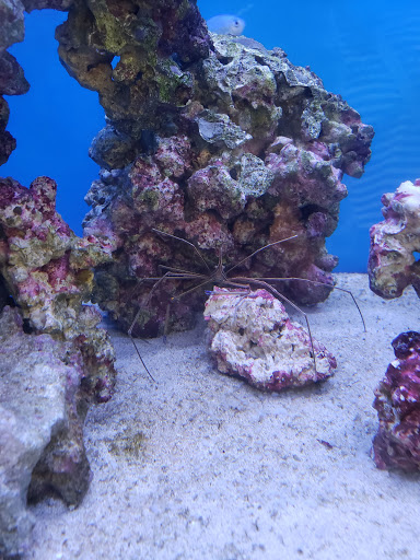 Pet Supply Store «Petco Animal Supplies», reviews and photos, 1570 Crater Lake Dr #300, Kennesaw, GA 30152, USA