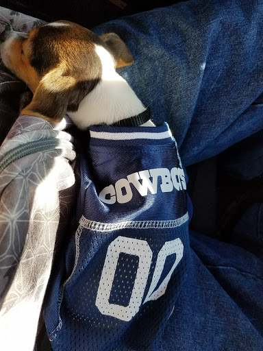 Pet Supply Store «Pet Club Chandler», reviews and photos, 3165 S Alma School Rd, Chandler, AZ 85248, USA