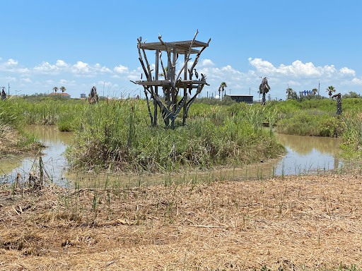 Tourist Attraction «Quintana Beach», reviews and photos, 898 2nd St, Quintana, TX 77541, USA