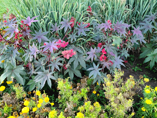 Park «Cranmer Park», reviews and photos, 4501 E 1st Ave, Denver, CO 80220, USA