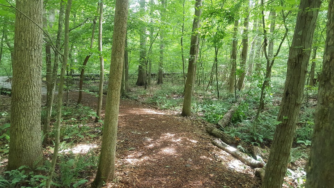 Stevens Nature Center