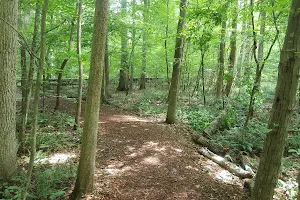 Stevens Nature Center image