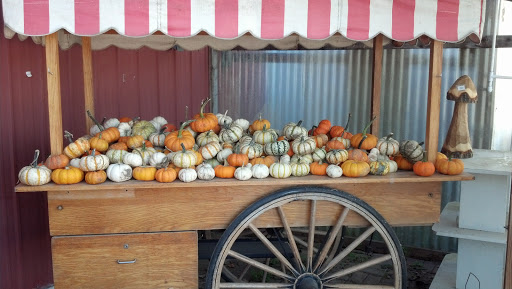 Produce Market «Welsh Heritage Farms», reviews and photos, 20758 528th Ave, Lake Crystal, MN 56055, USA