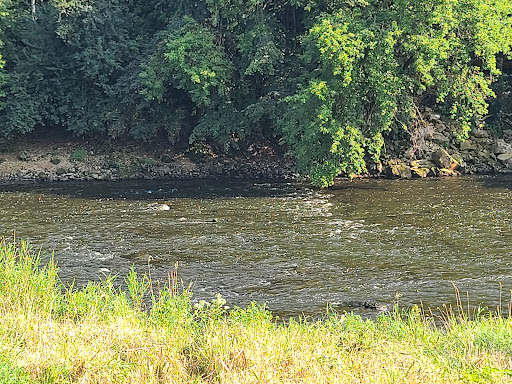 Golf Club «Cannon Golf Club», reviews and photos, 8606 295th St E, Cannon Falls, MN 55009, USA