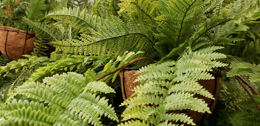 Craft Store «Michaels», reviews and photos, 20505 N Rand Rd #230, Kildeer, IL 60047, USA