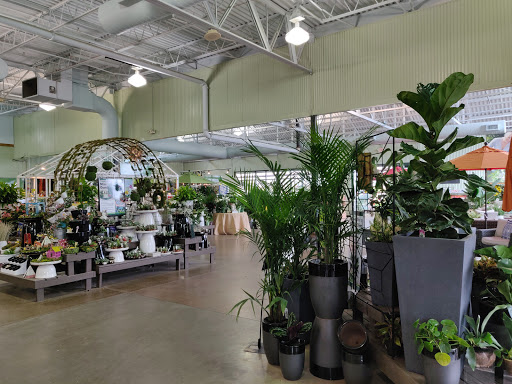 Garden Center «Pike Nurseries», reviews and photos, 615 W Crossville Rd, Roswell, GA 30075, USA