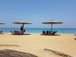 Photo de Dolphin Beach avec un niveau de propreté de très propre