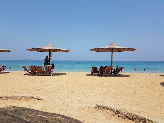 Dolphin Beach