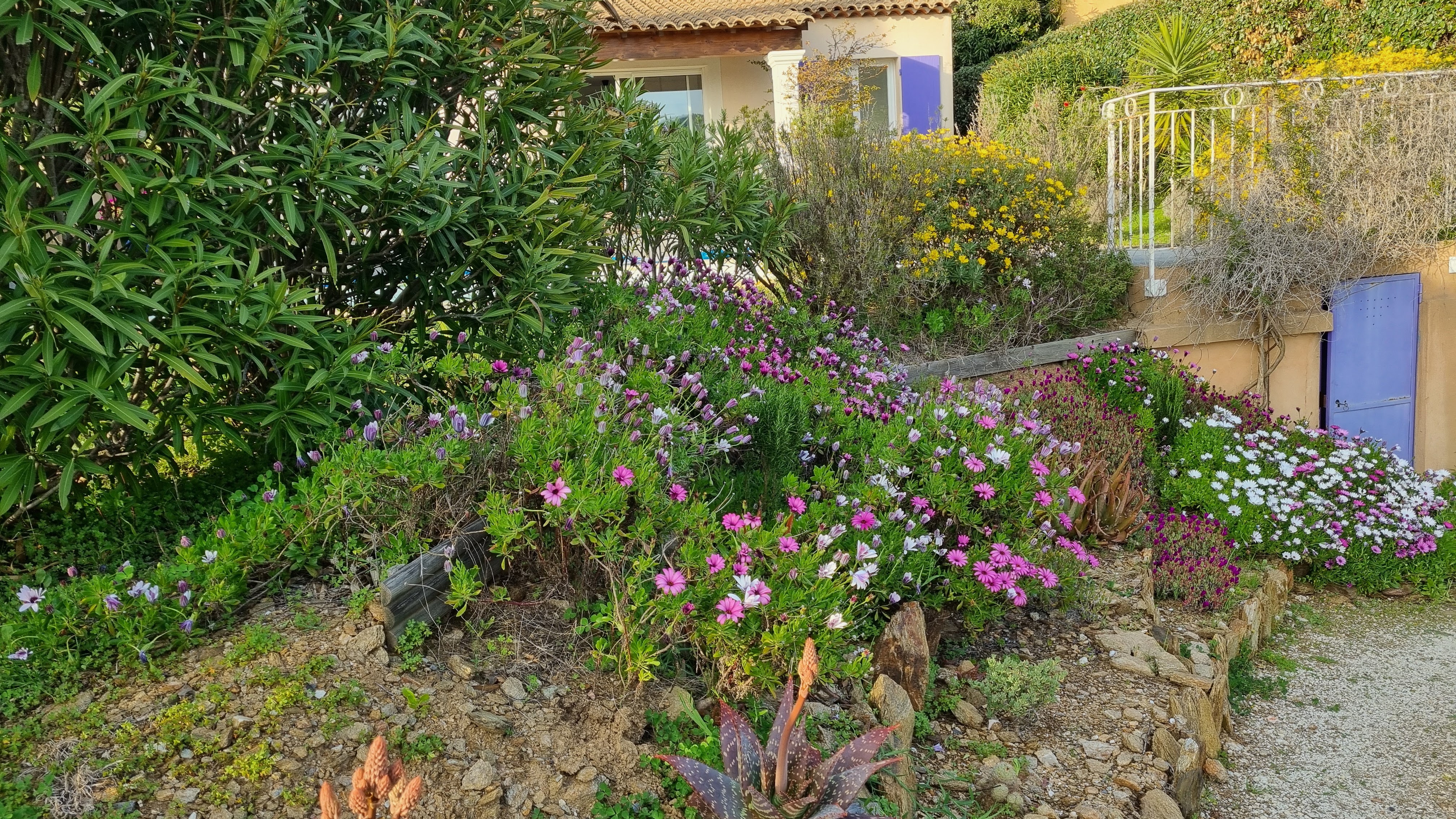 Photo n° 4 de l'avis de Kevin.a fait le 17/03/2024 à 16:43