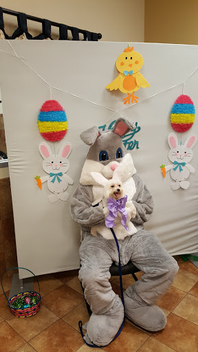 Pet Supply Store «PetSmart», reviews and photos, 2325 S Stemmons Fwy, Lewisville, TX 75067, USA