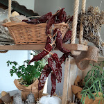 Photo n°10 de l'avis de Simonetta.i fait le 16/05/2021 à 16:38 sur le  La Chiave Bianca à Miglianico