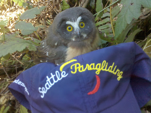 Sports Complex «Seattle Paragliding», reviews and photos, 11206 Issaquah-Hobart Road Southeast, Issaquah, WA 98027, USA