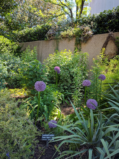 Museum «Smithsonian National Museum of African Art», reviews and photos, 950 Independence Ave SW, Washington, DC 20560, USA