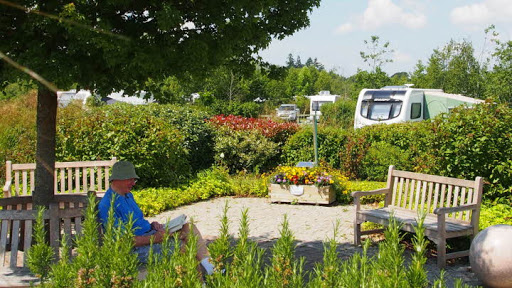 New Forest Caravan and Motorhome Club Centenary Campsite