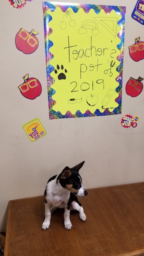 Pet Supply Store «Mud Bay», reviews and photos, 2410 Harrison Ave NW, Olympia, WA 98502, USA