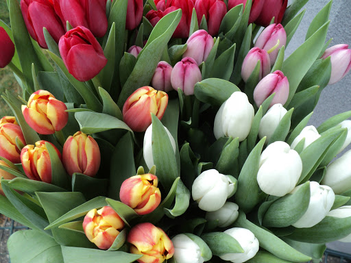 Florist «Sparrows Nest Flower Shop LLC», reviews and photos, 65 Sylvania Ave, Neptune City, NJ 07753, USA